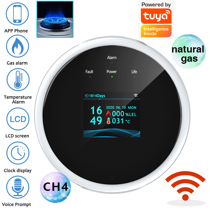 Home Security Systems - 2.4G WiFi 가스 경보 센서 가연성