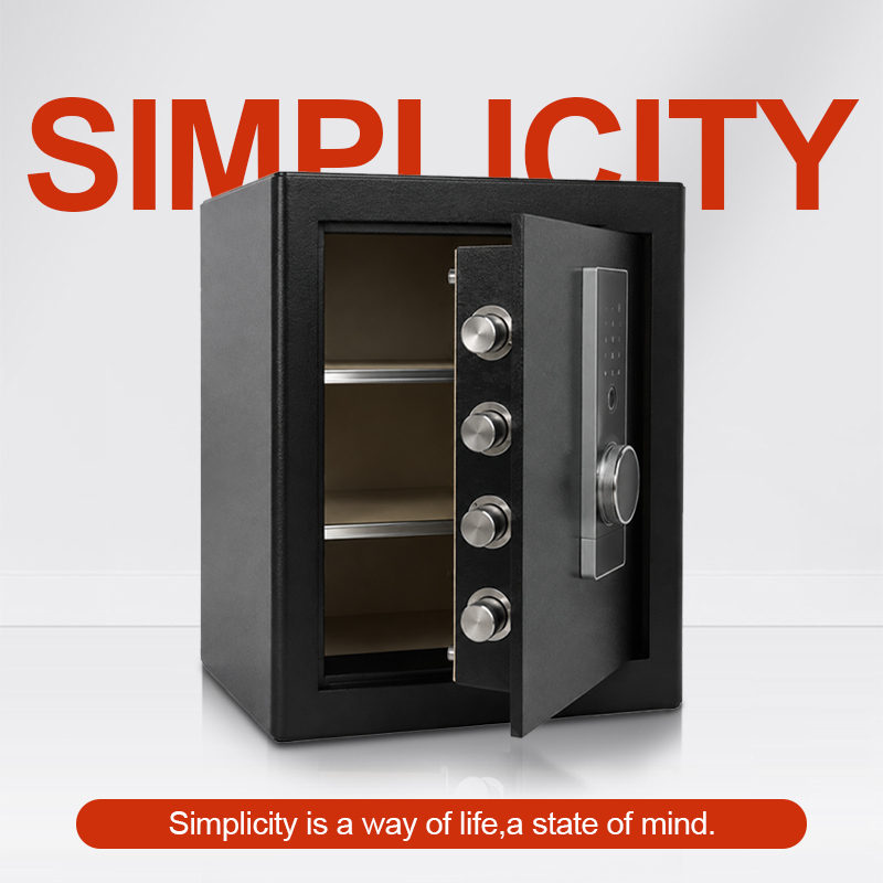 생체 인식 지문 금고, 디지털 키패드 보안 금고 (수동 - Home Security Key Box 리뷰 및 가격